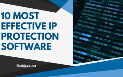 10 Most Effective IP Protection Software: A Guide